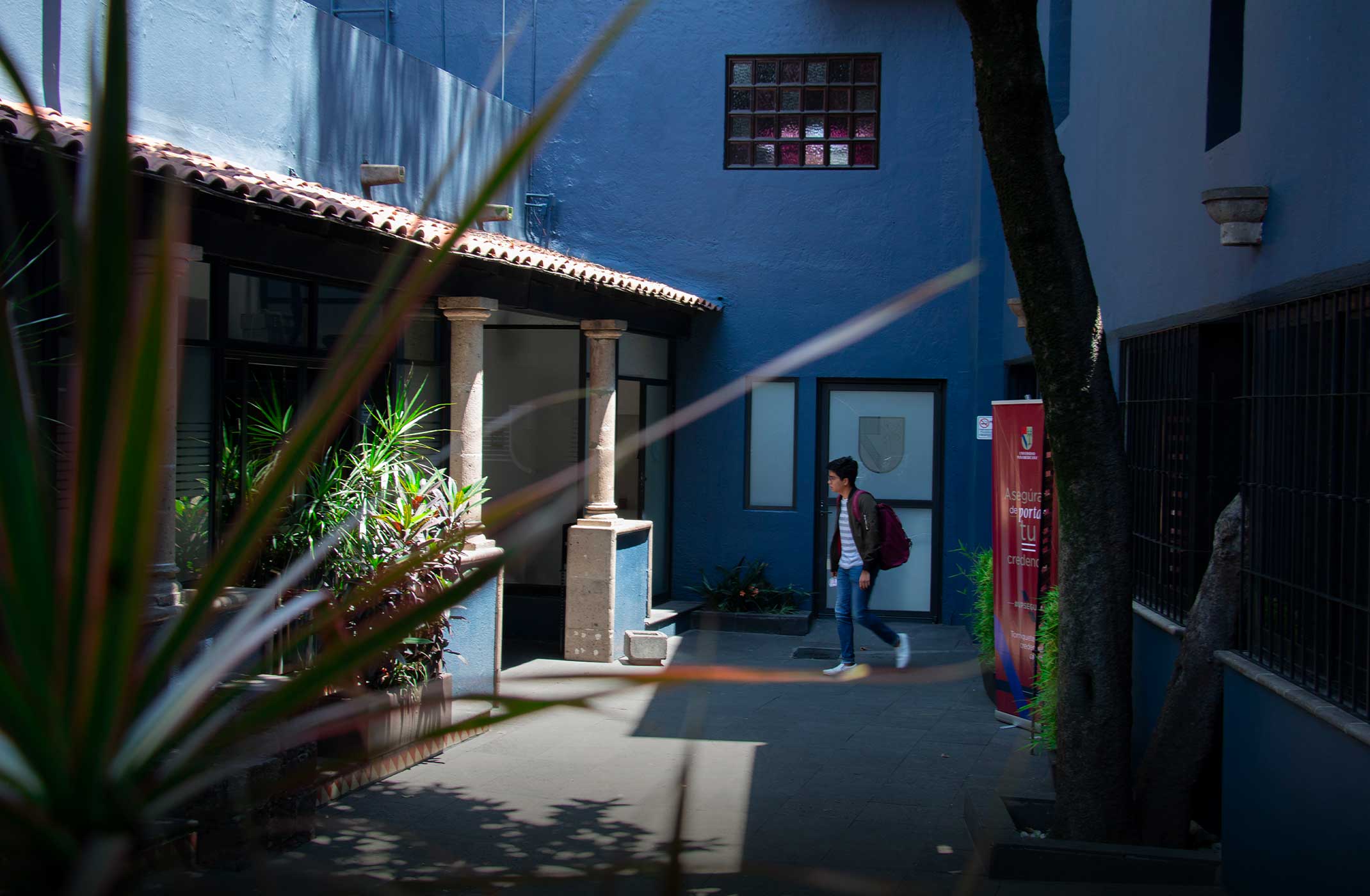 home casos image