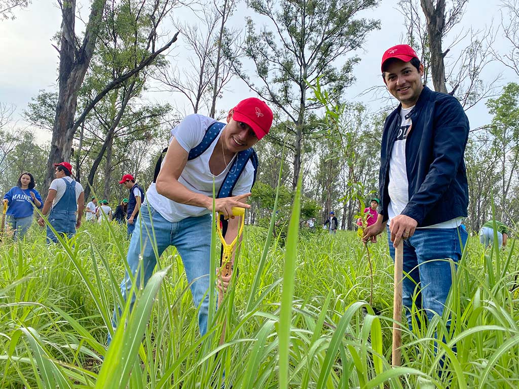 150 trees planted in third reforestation of the Panamerican Highway