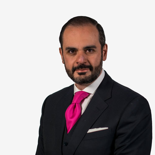 José María Soberanes Díez