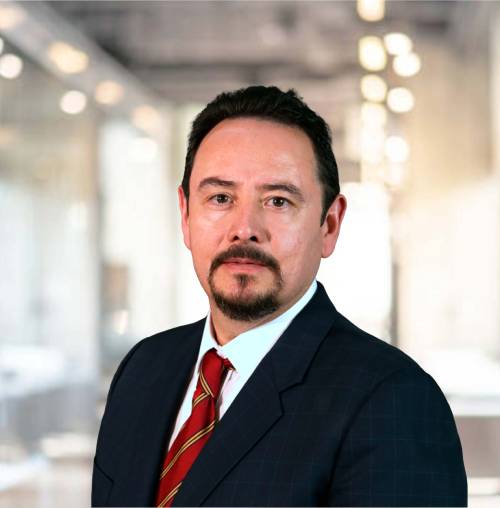 José Manuel Magaña Rufino