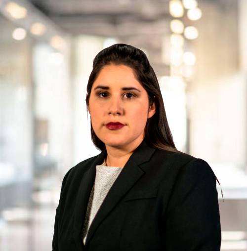 María Fernanda Vidal Correa