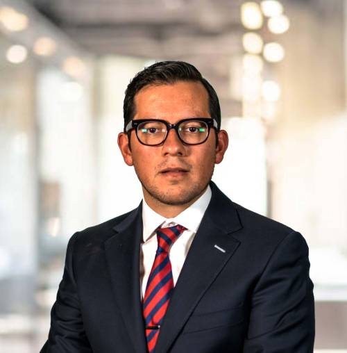 Mauricio Lecón Rosales