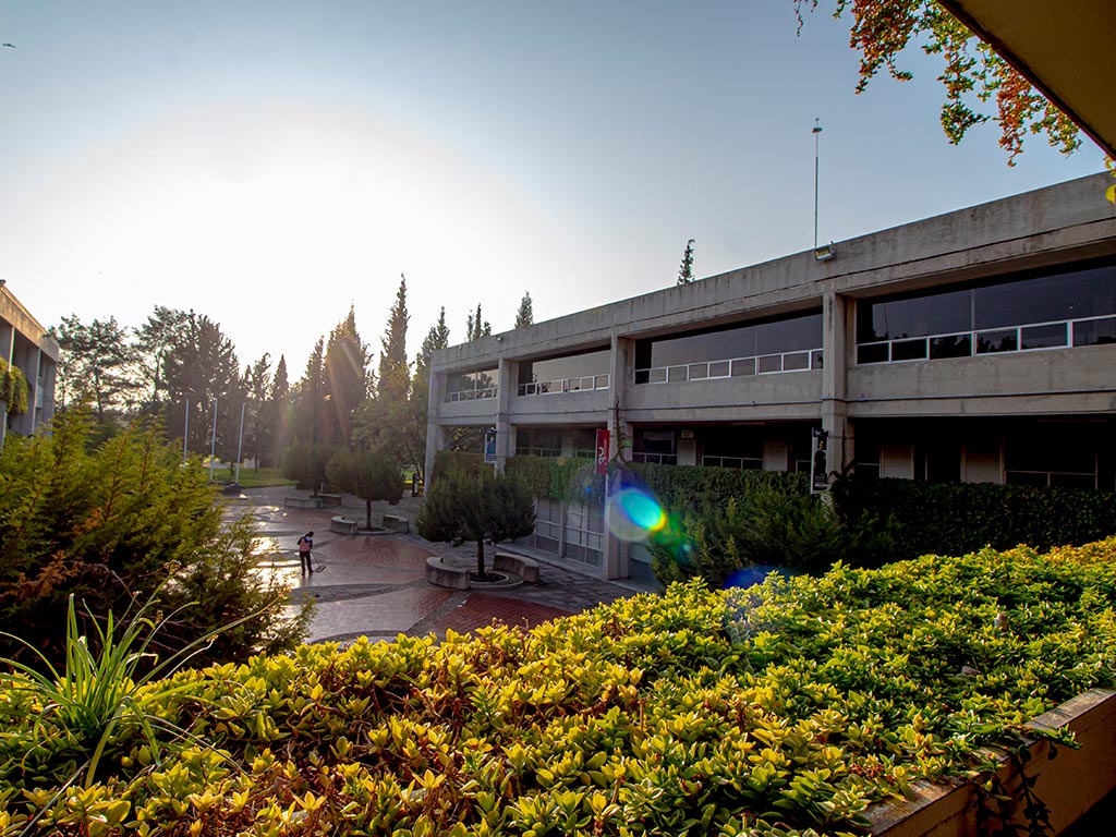 UP, mejor universidad privada en temas de sustentabilidad UP, mejor universidad privada en temas de sustentabilidad