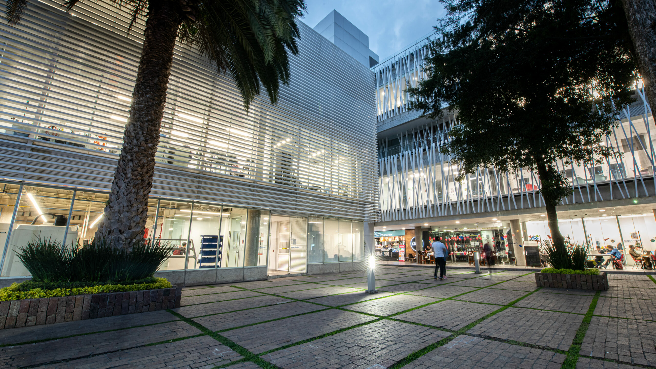 La Universidad Panamericana impulsa la innovación educativa con inteligencia artificial de Google