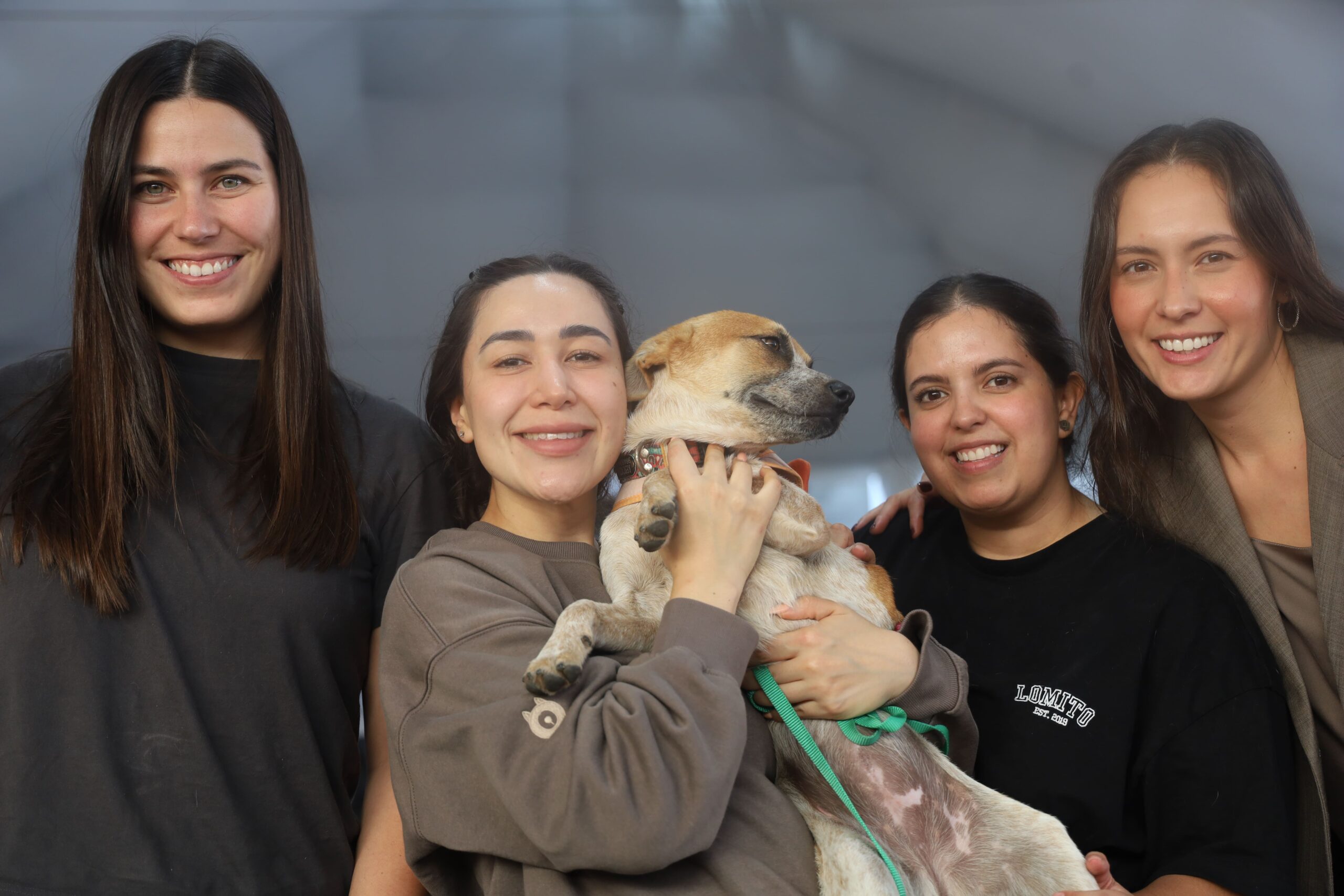 Carrera de Marketing y Data Strategy apoya adopción responsable de perros con Panteras al Rescate