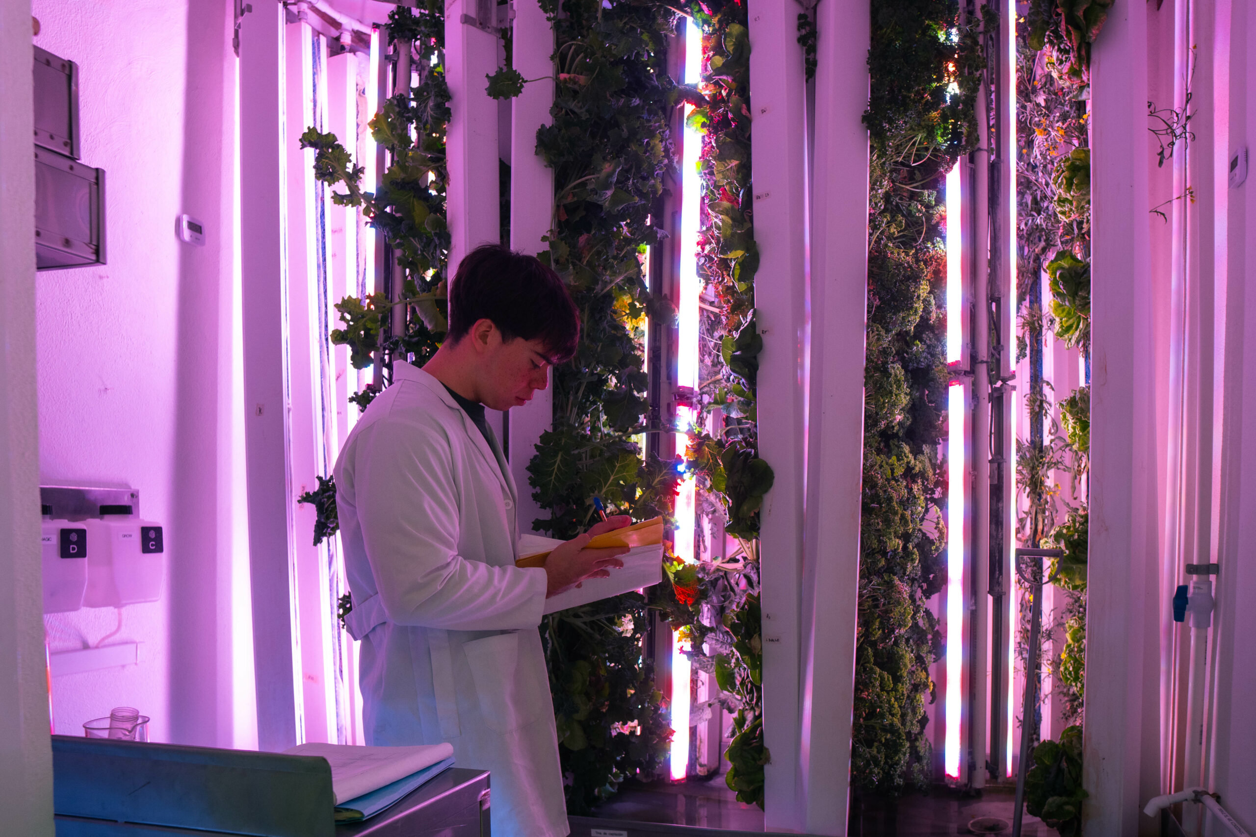 La prevención y la alimentación como factores clave en la lucha contra la diabetes.