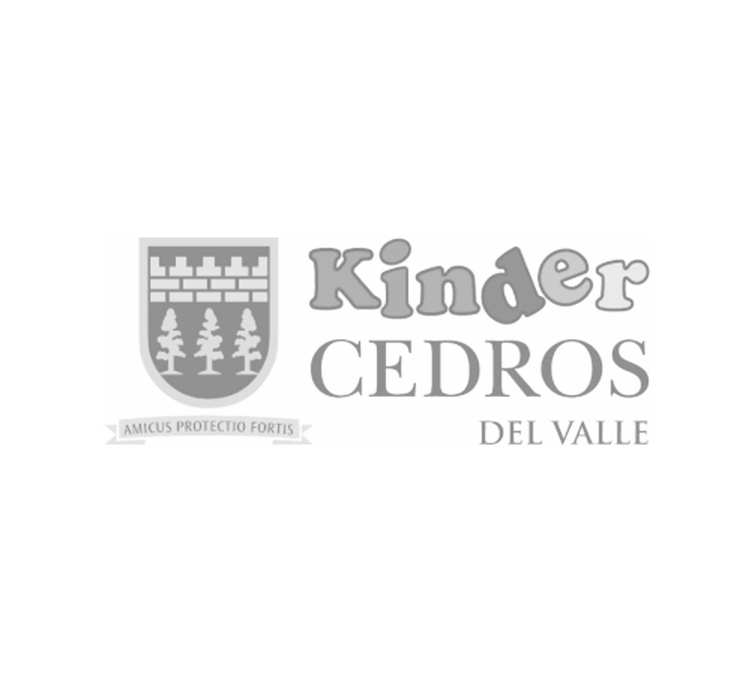 Kinder Cedros del Valle