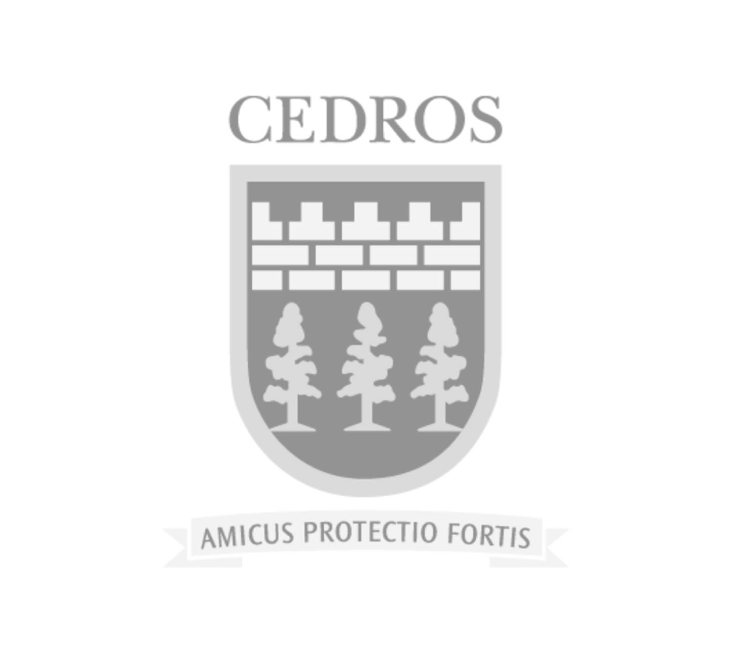 Colegio Cedros