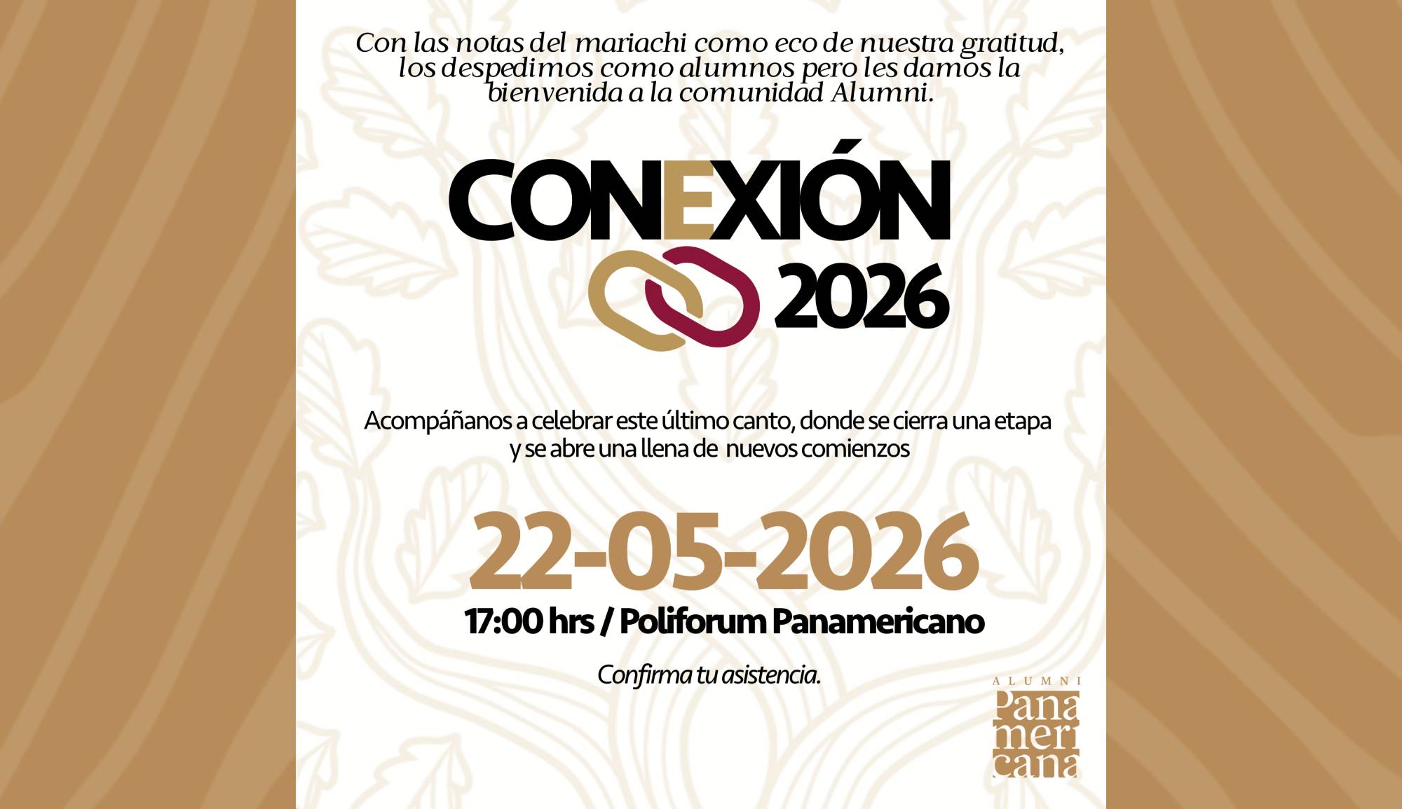 Conexión