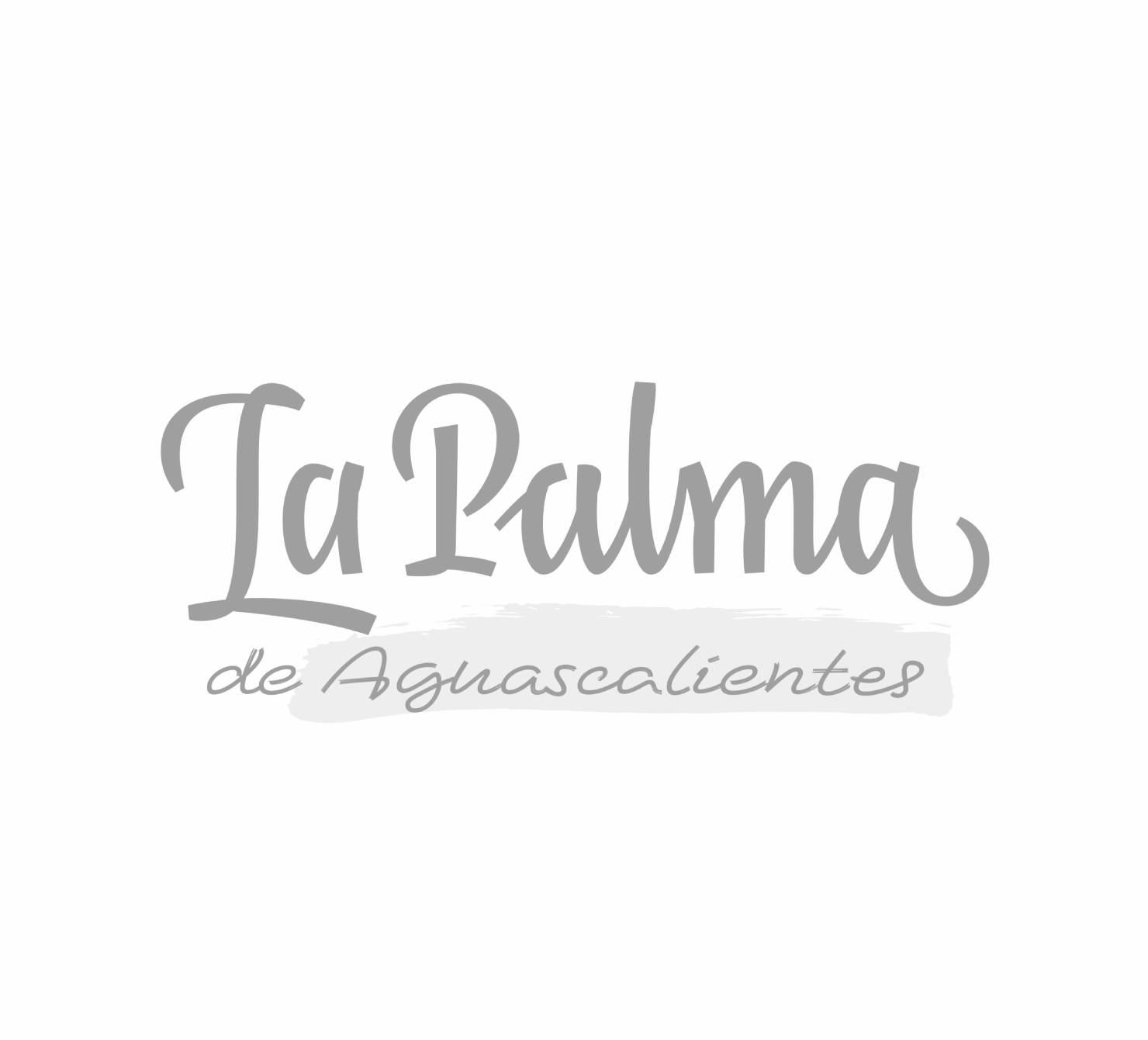 Papelería La Palma de Aguascalientes