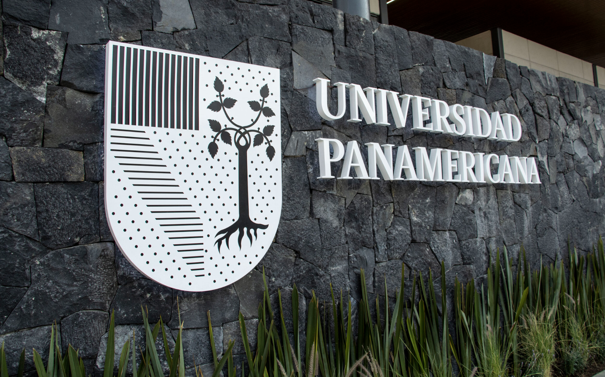 Universidad Panamericana, la mejor universidad privada de México en sostenibilidad: UI GreenMetric 2026