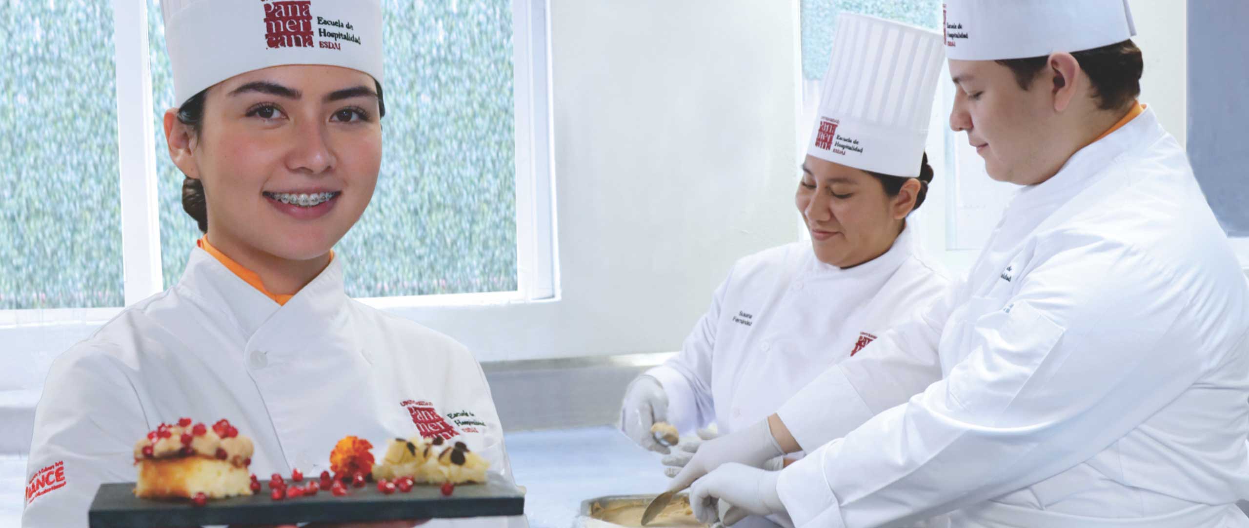 Bachelor's Degree in Gastronomic Business Management
